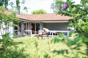 Reiher 24 in Mirow